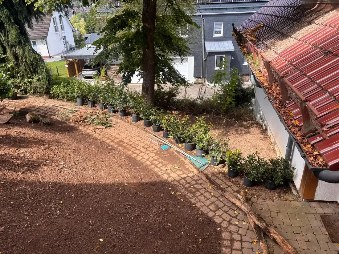 Neu angelegte Gartenfläche mit Pflasterweg, Land- und Forstservice Mann in Siegen